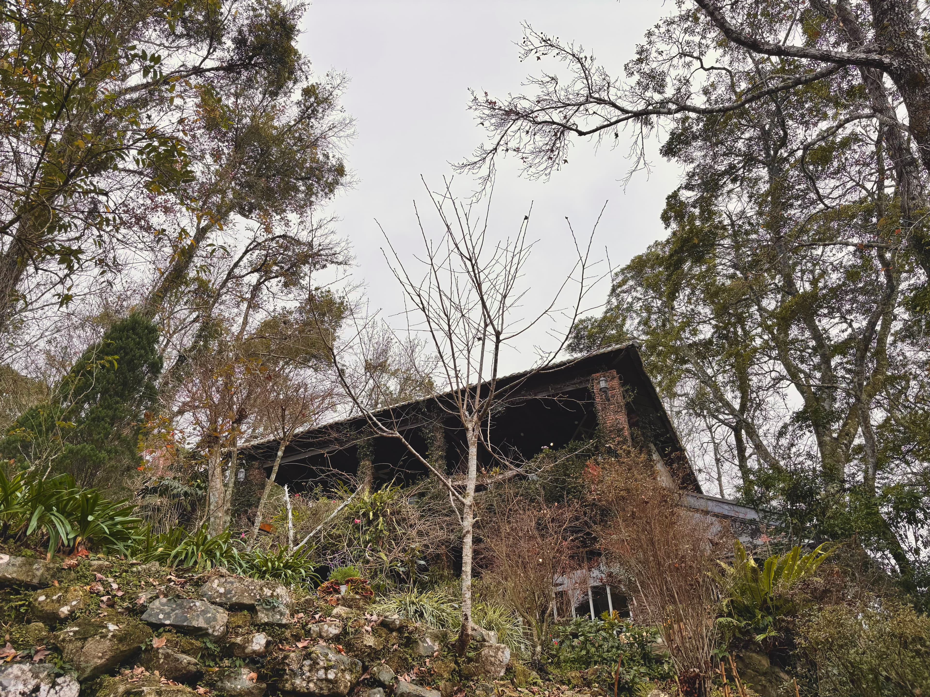 新竹|秘境景觀餐廳|拉號花園